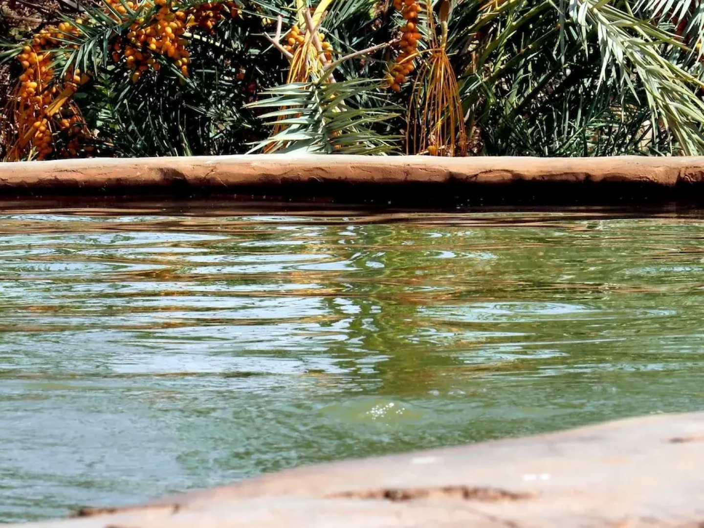 Le Jardin Sous la Lune