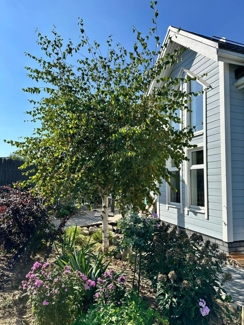 Уютный домик