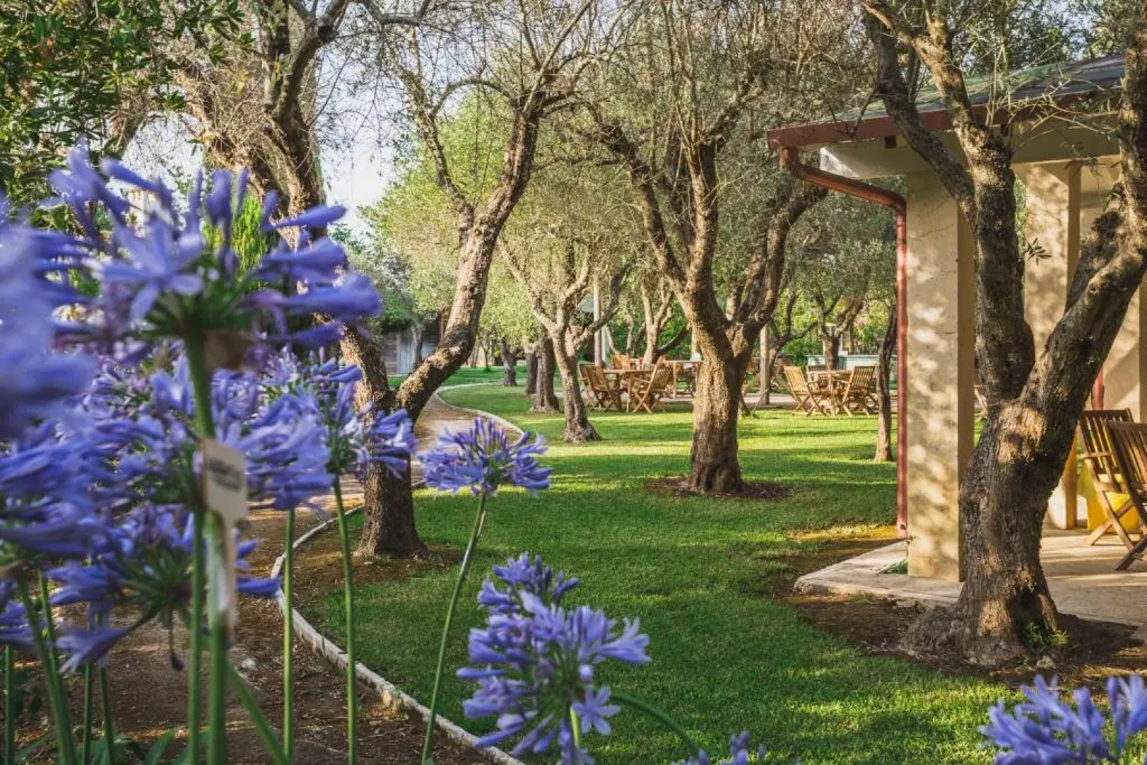 Bio Agriturismo Salos