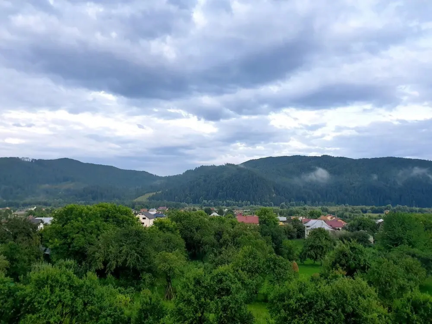 Bucovina Residence