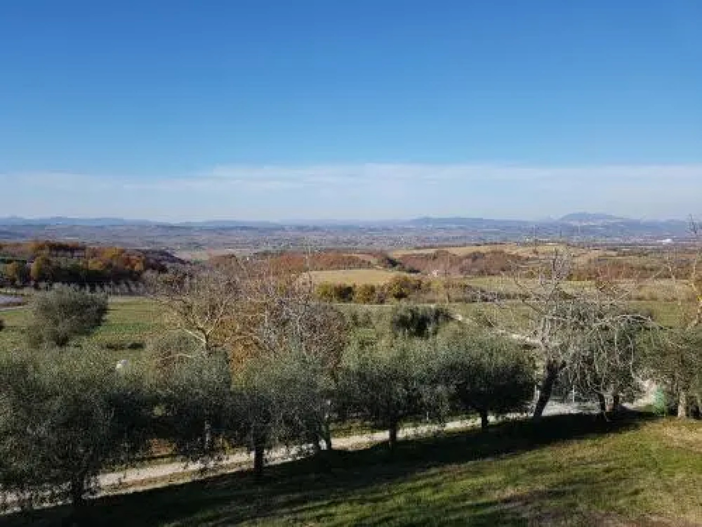 La Collina