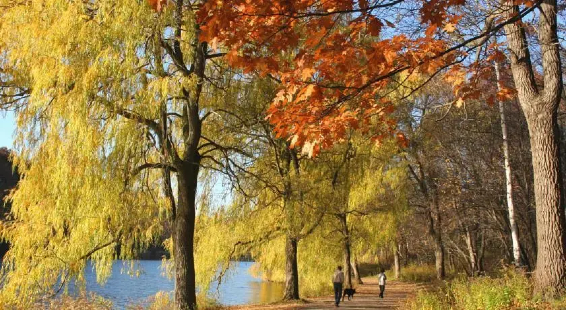 Haus am Wald Nähe Kassel