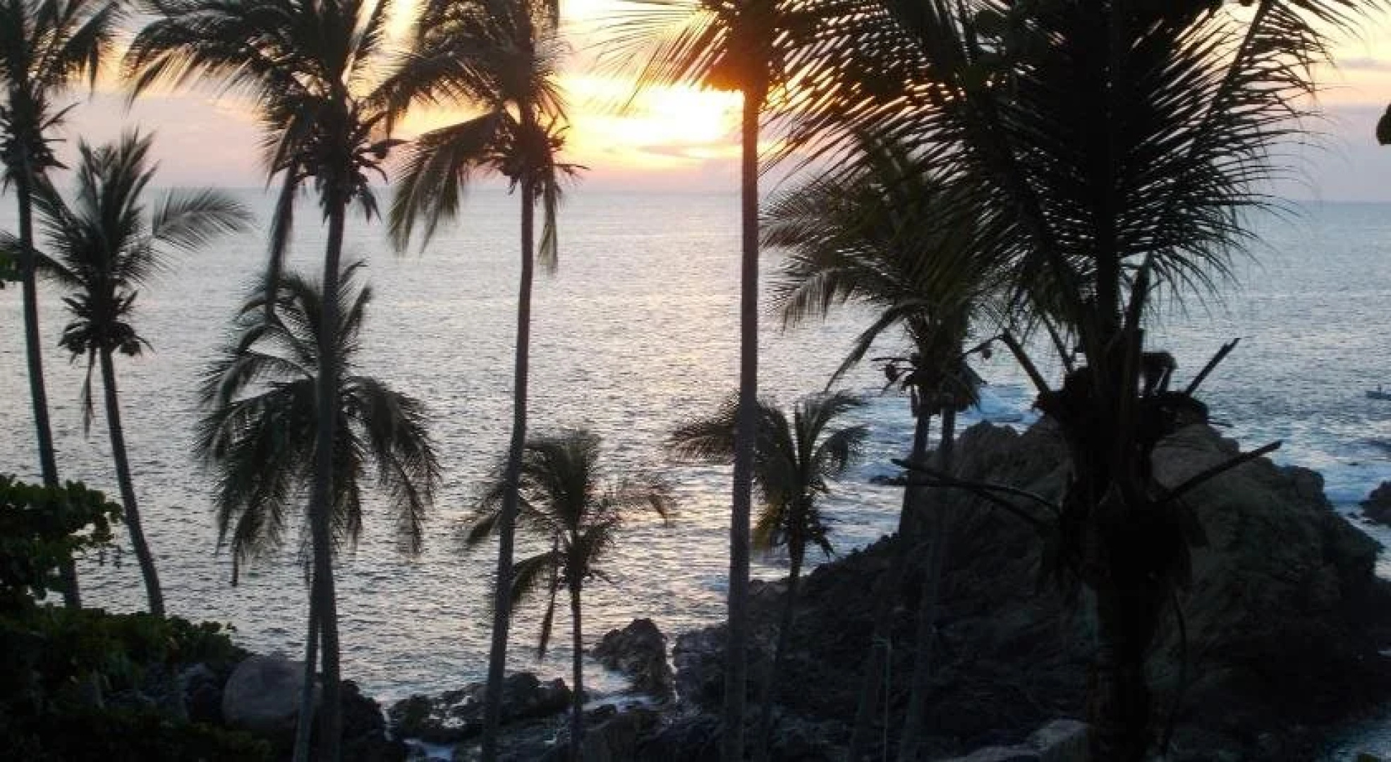 Cocos Camp