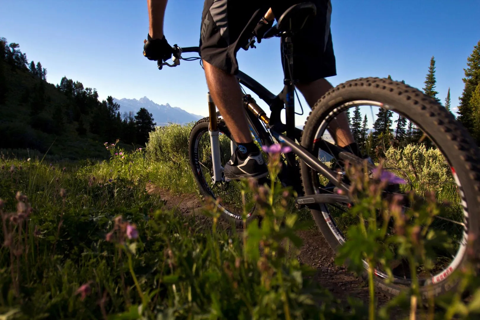 Teton Private Residences