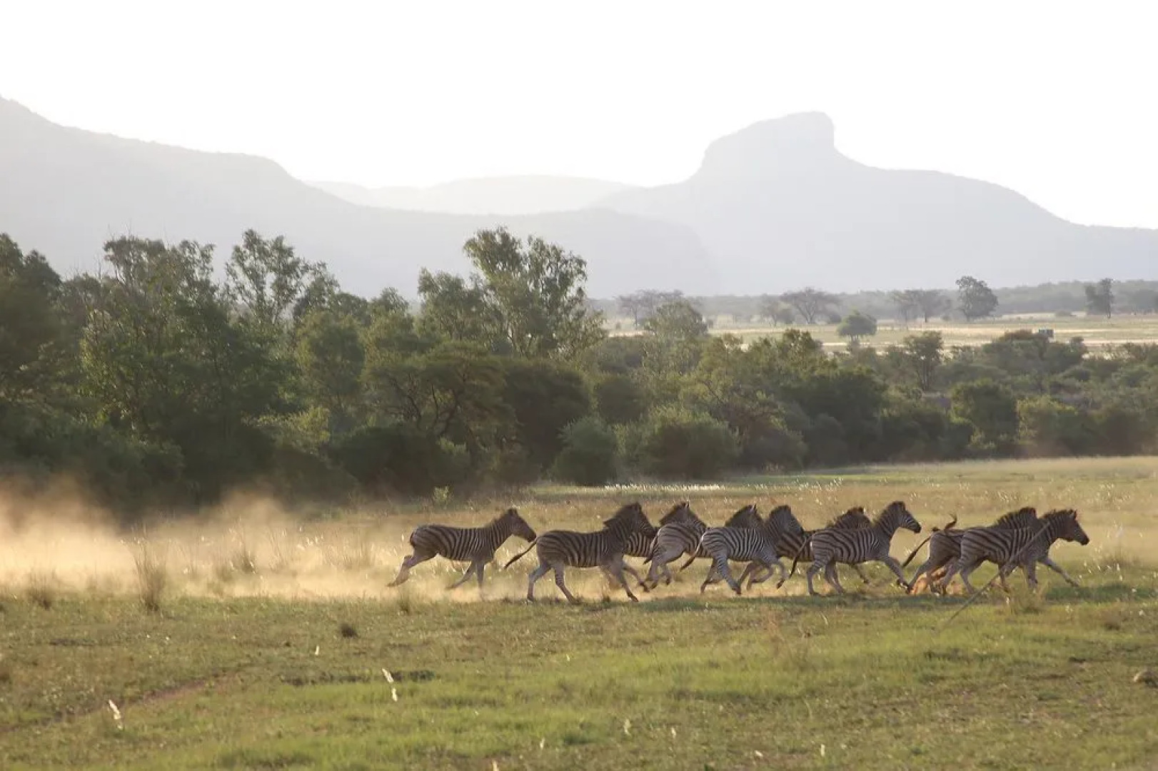 Roundstone Mountain Biking & Game Lodge