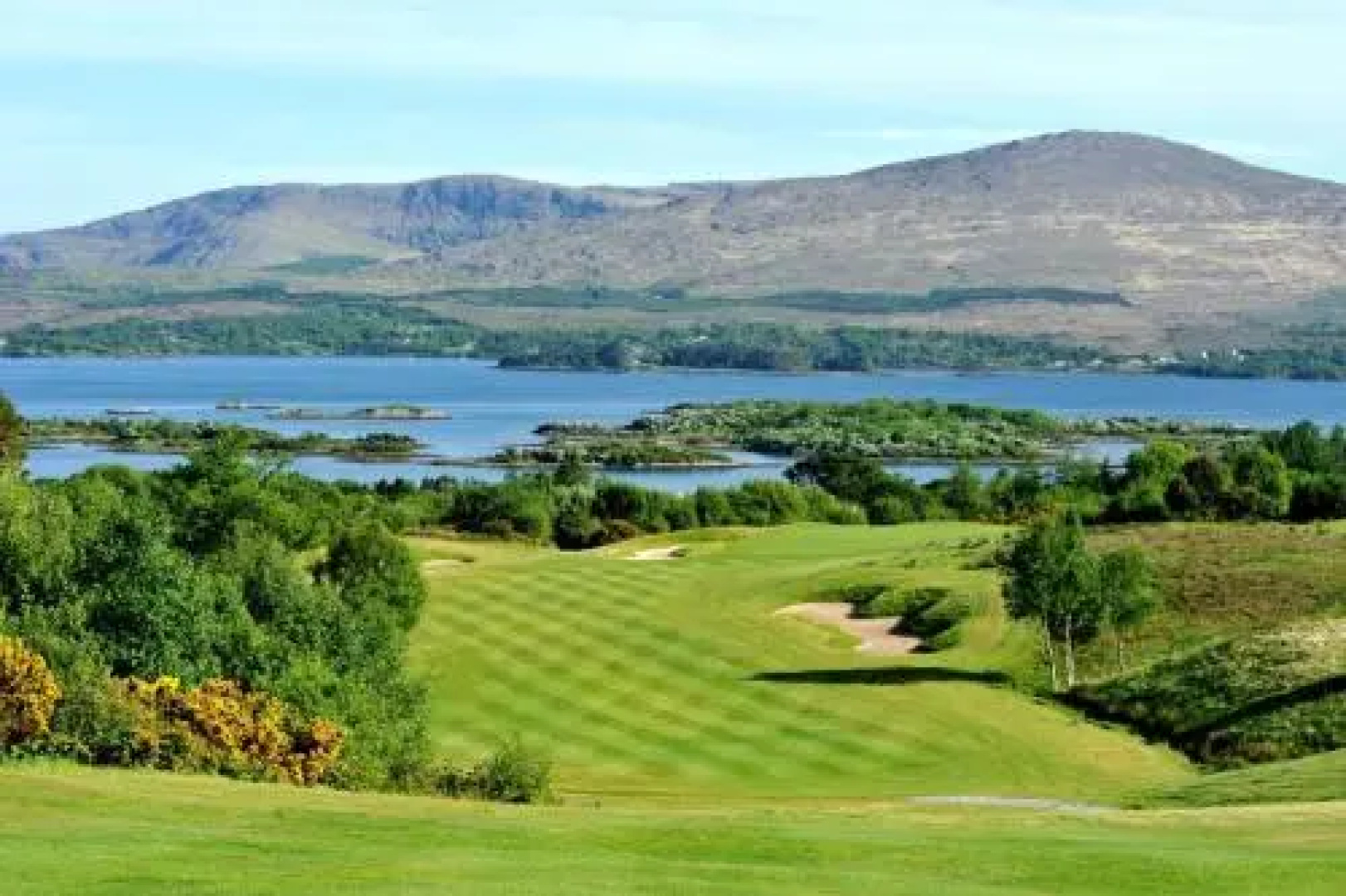 Ardnagashel