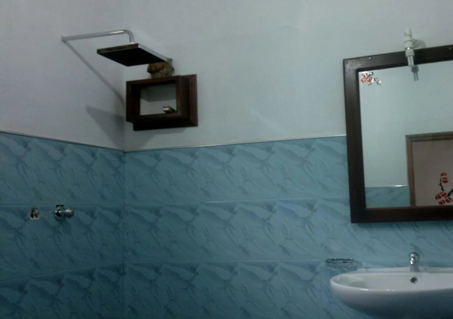 Peacock Wings Guest House