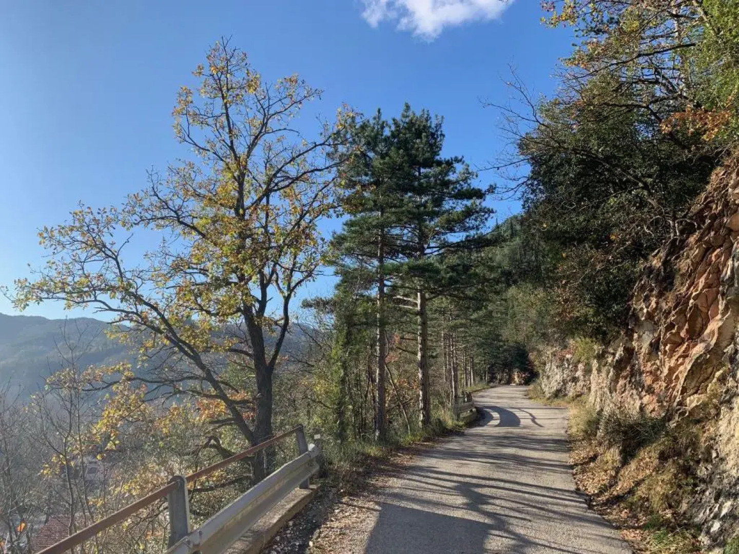 La Forestale Luxury Ecolodge B&B Primo Piano