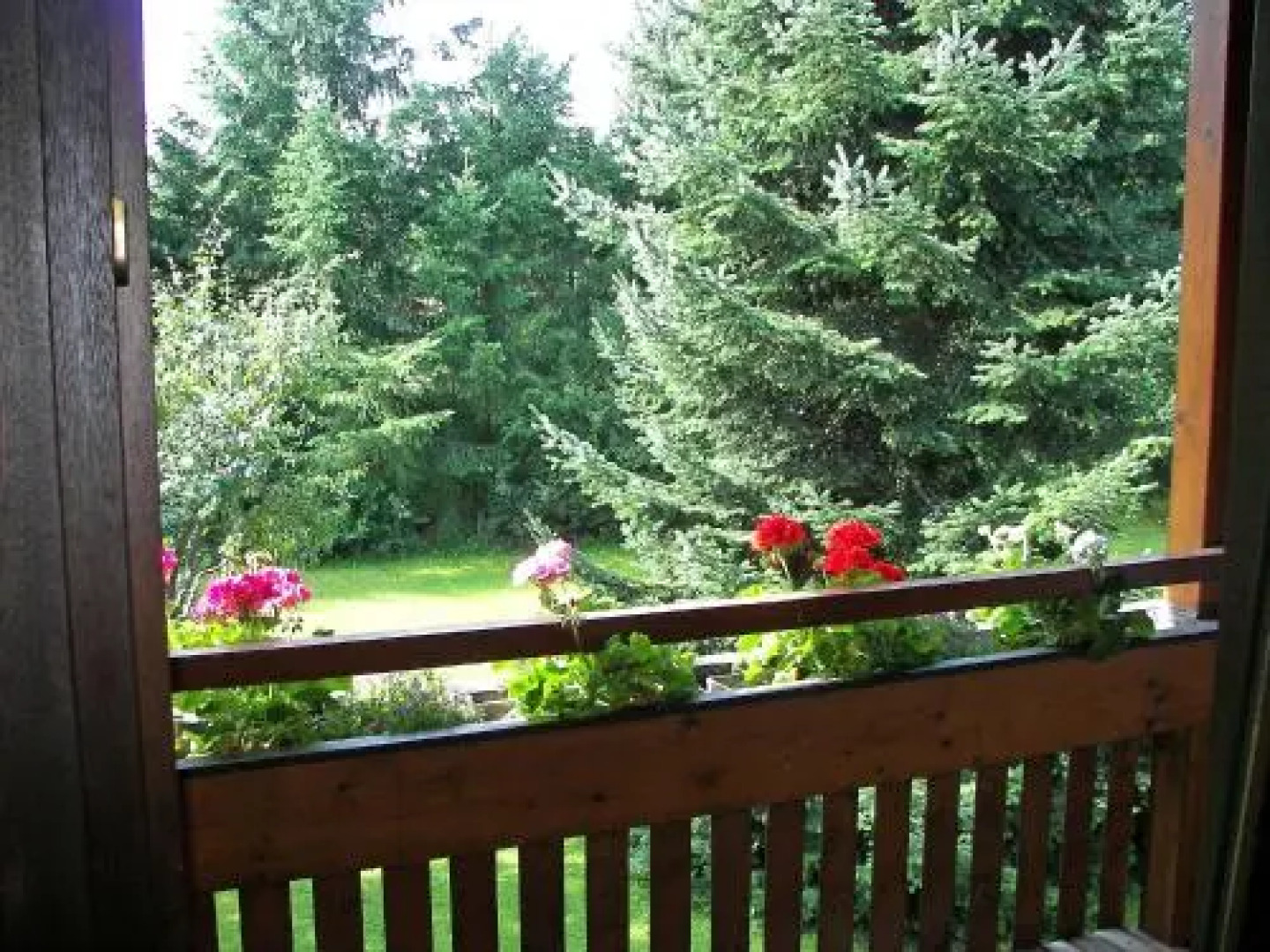 Apartment Albergo Natura