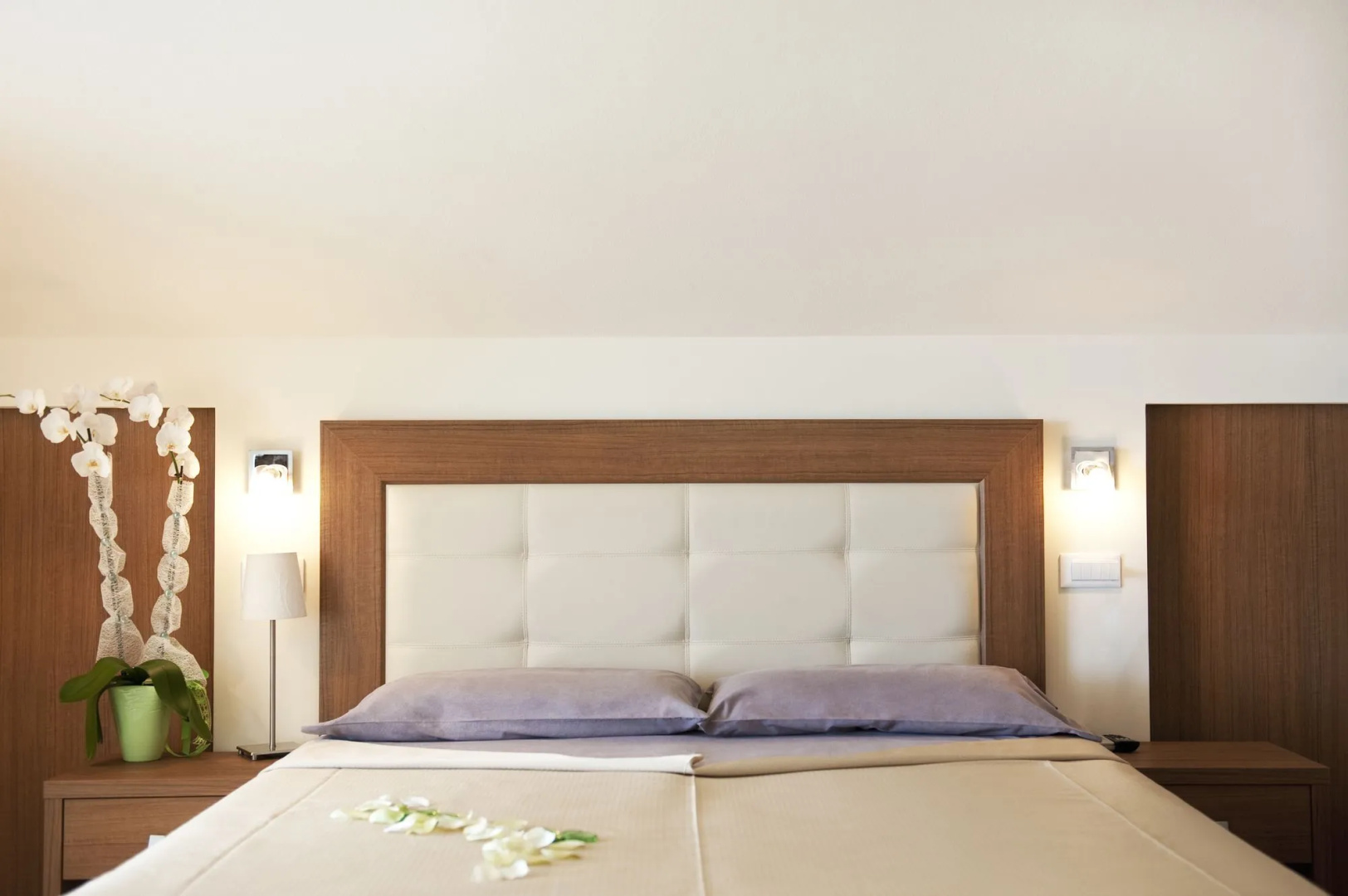 Hotel Aurea