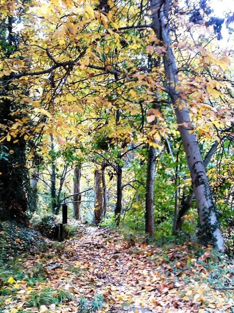 Rural Médulas