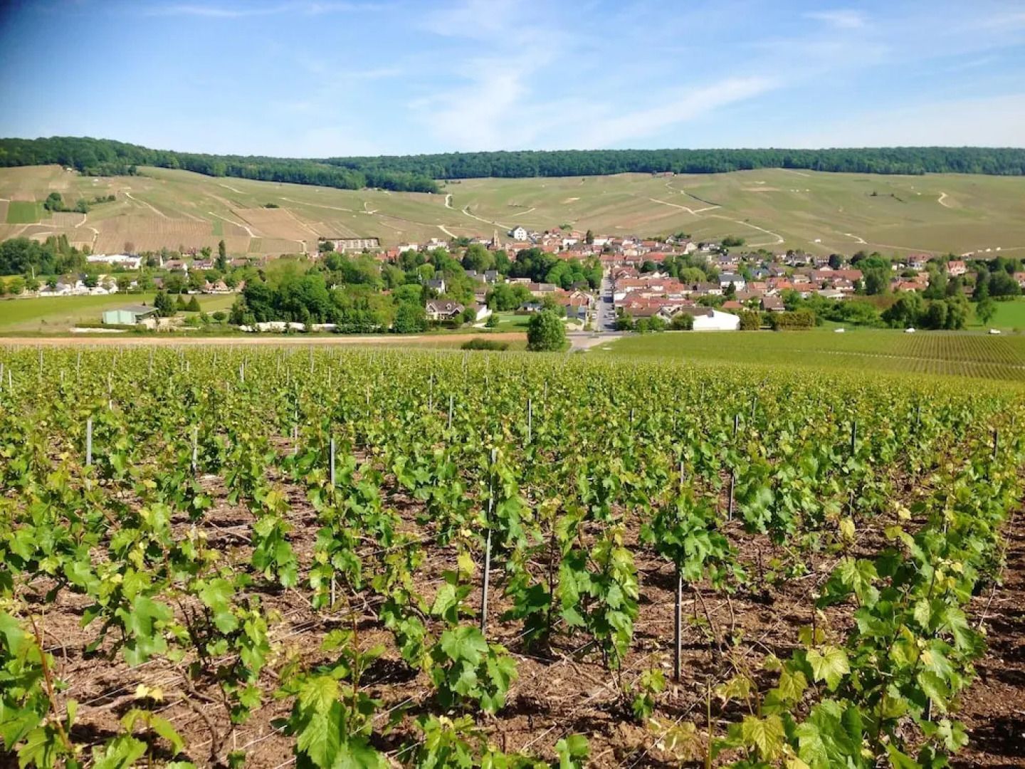 House With 3 Bedrooms in Chavot-courcourt, With Enclosed Garden and Wifi