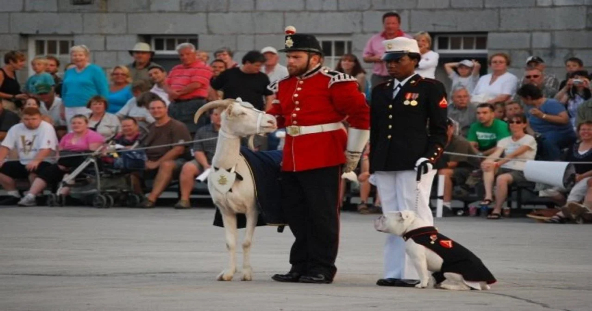 Holiday Inn Express & Suites Kingston Central by IHG