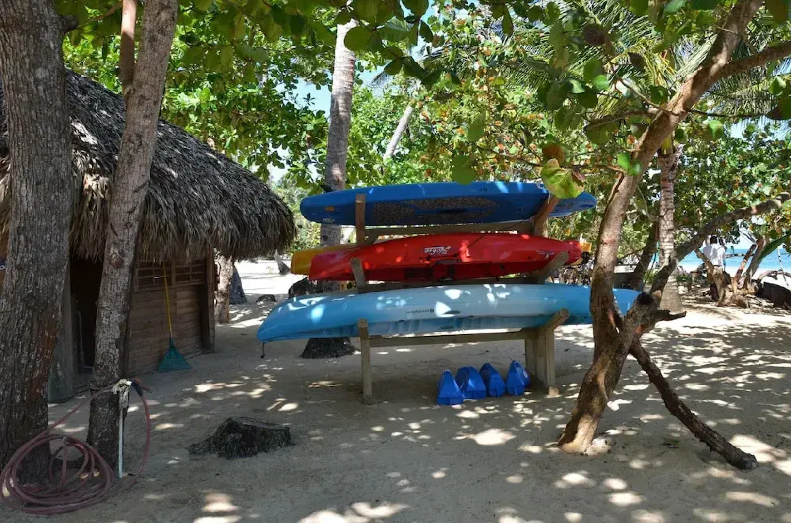 Magic Nature at Las Terrenas