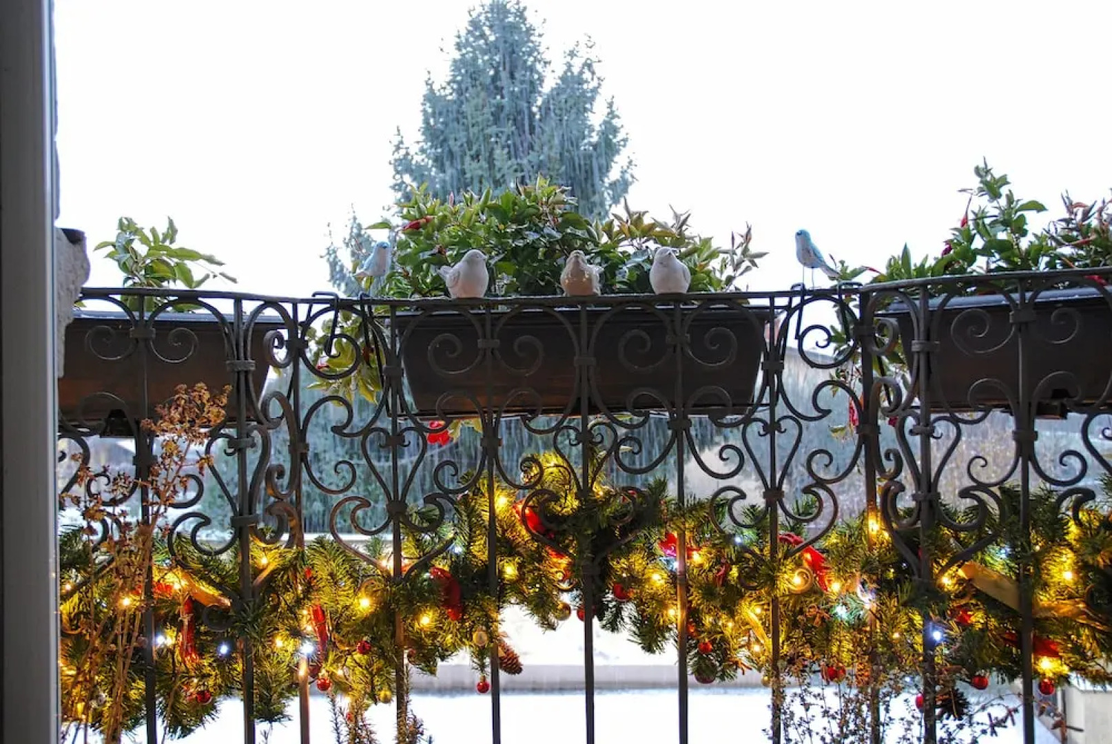 B&B Palazzo Contessa