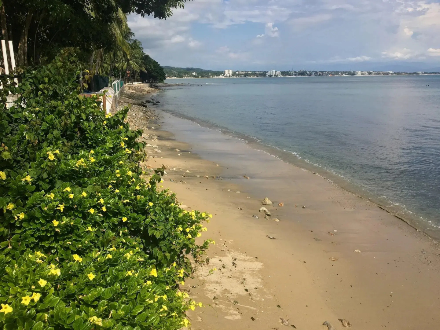 Jardin del Mar