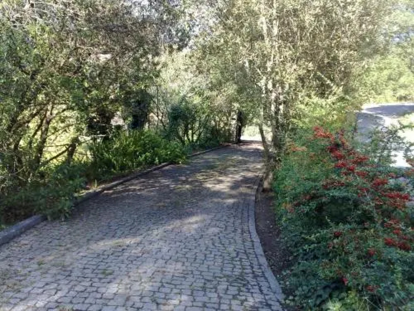 Casa no Douro - Quinta de Pias