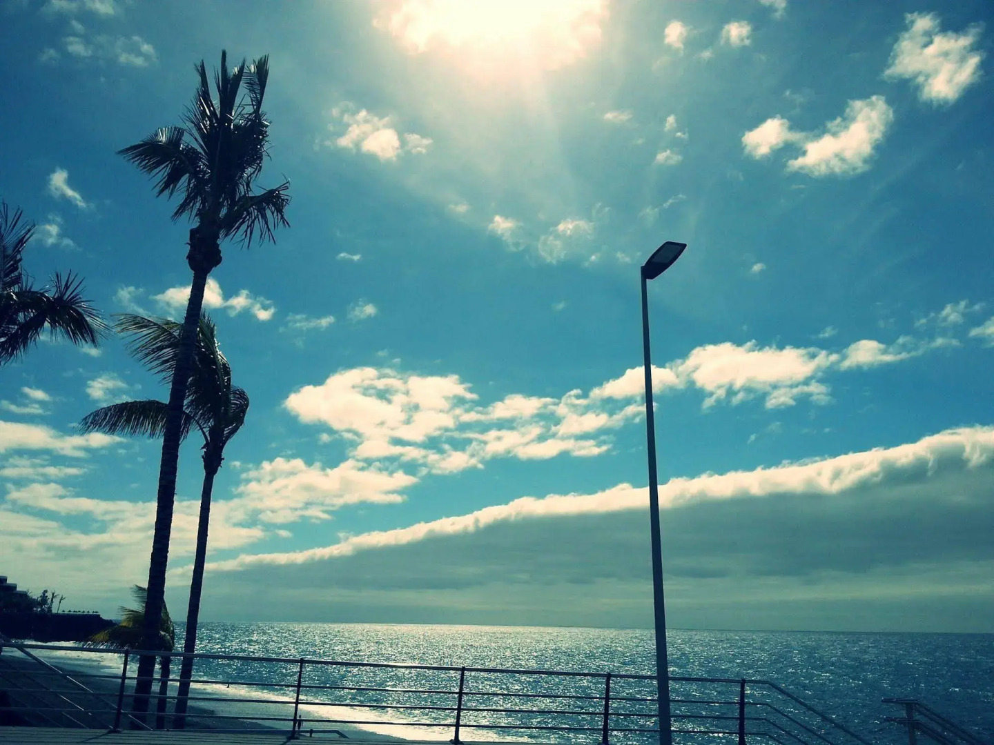 Apartamentos Playa Delphin