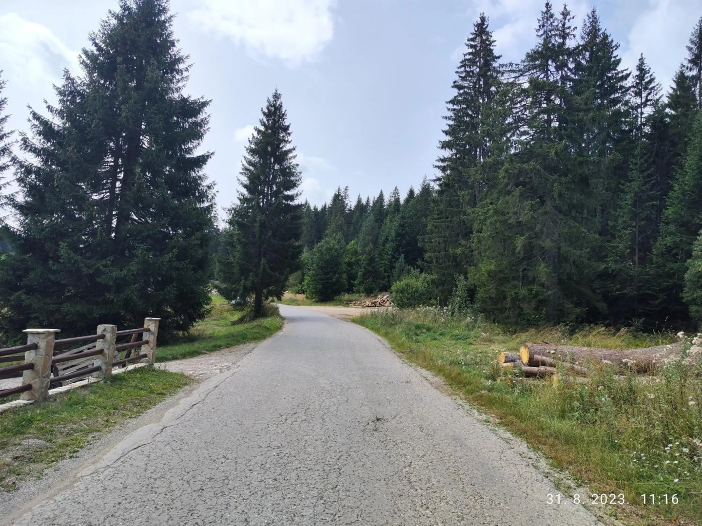 Vila Carobna suma Tara