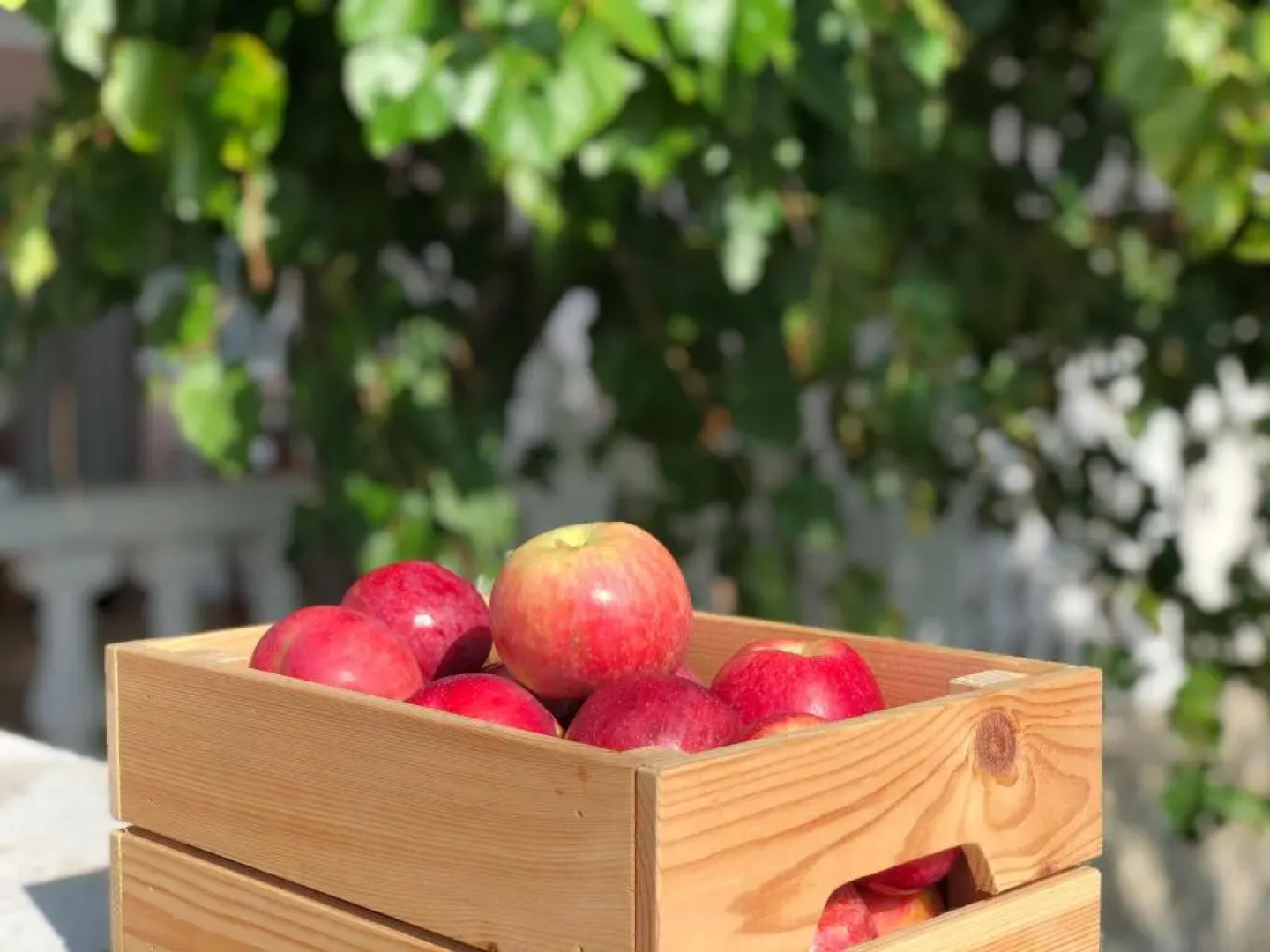 Замок Орлиное Гнездо