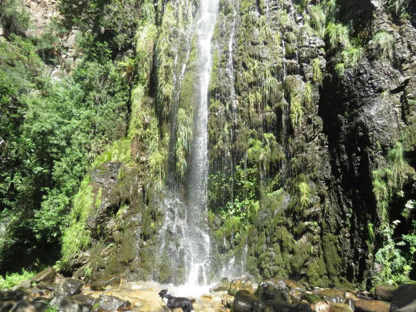 Swartberg Backpackers