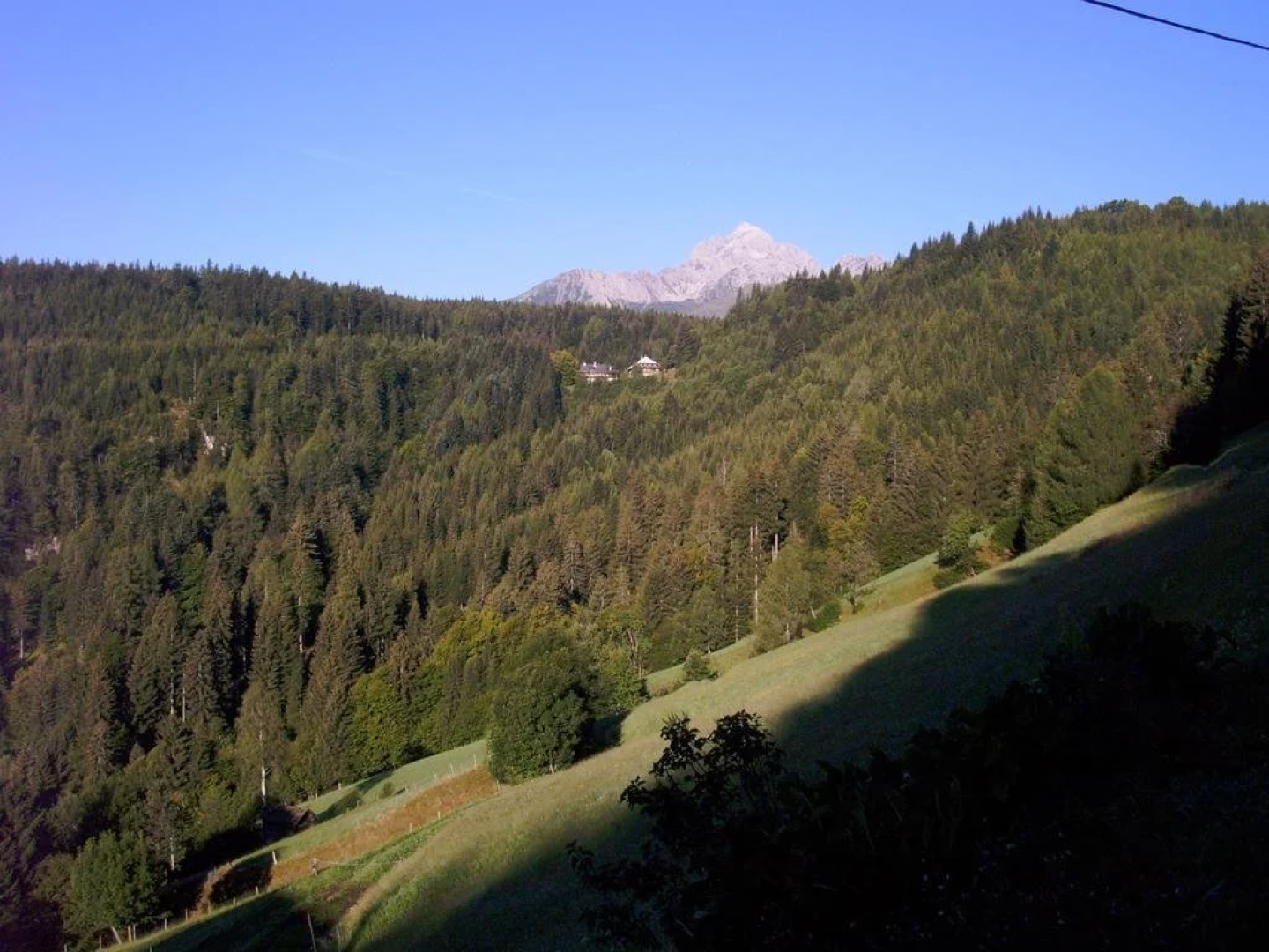 Gladerhof