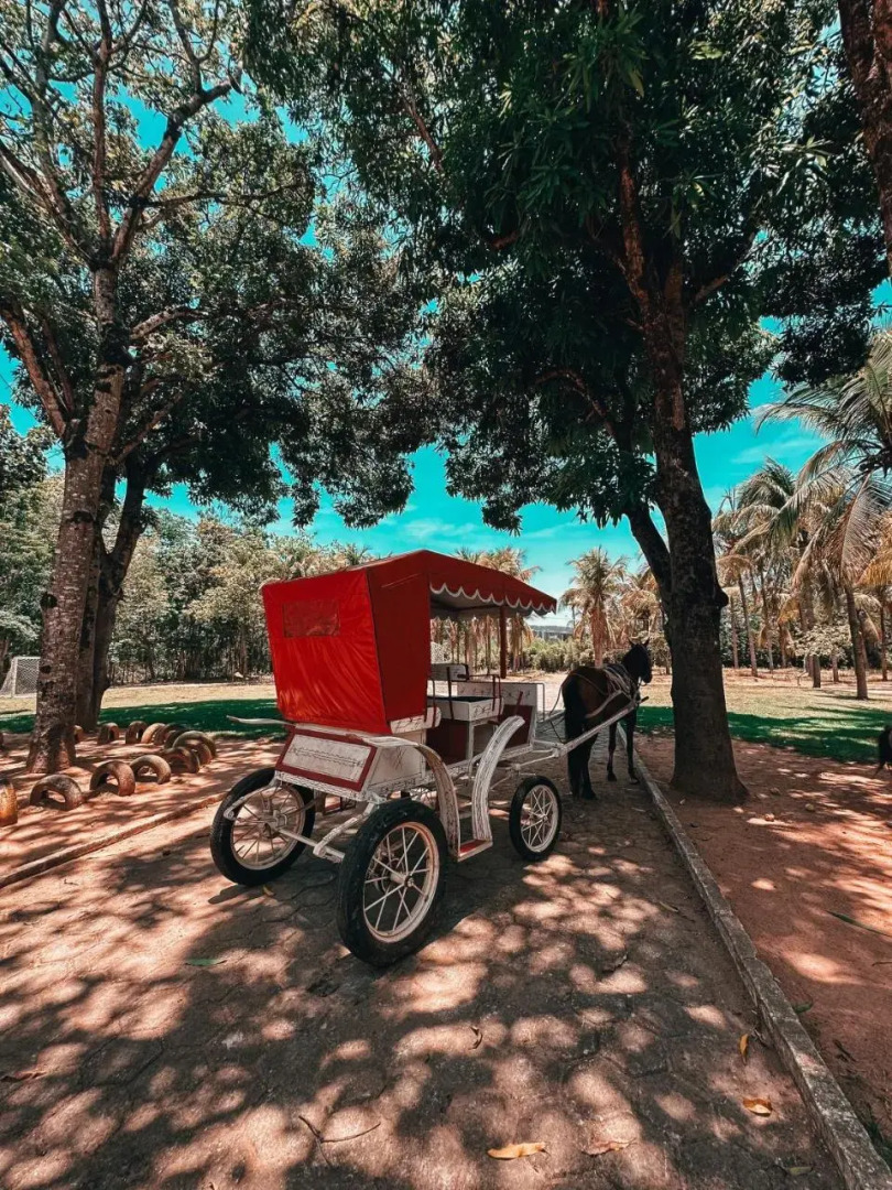 Village dos Pássaros