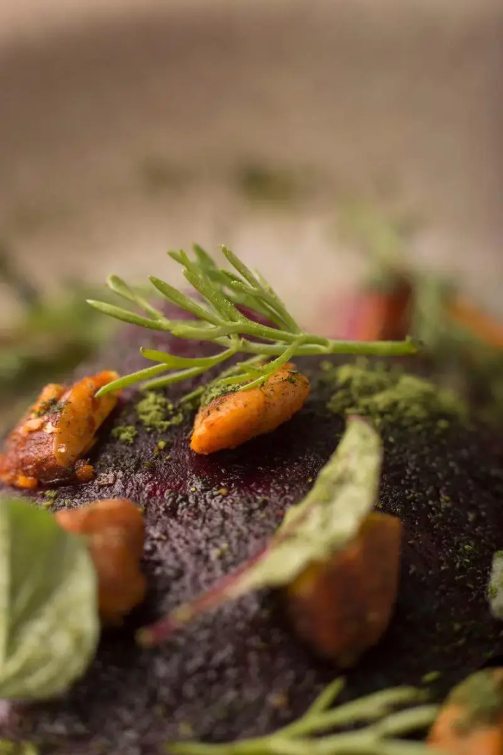 Rosell Boher Winery Lodge & Spa