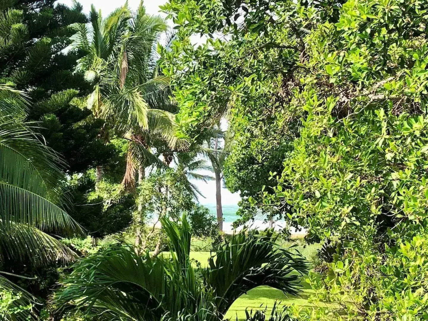 The Lady Fish 3 Bedroom Home by RedAwning