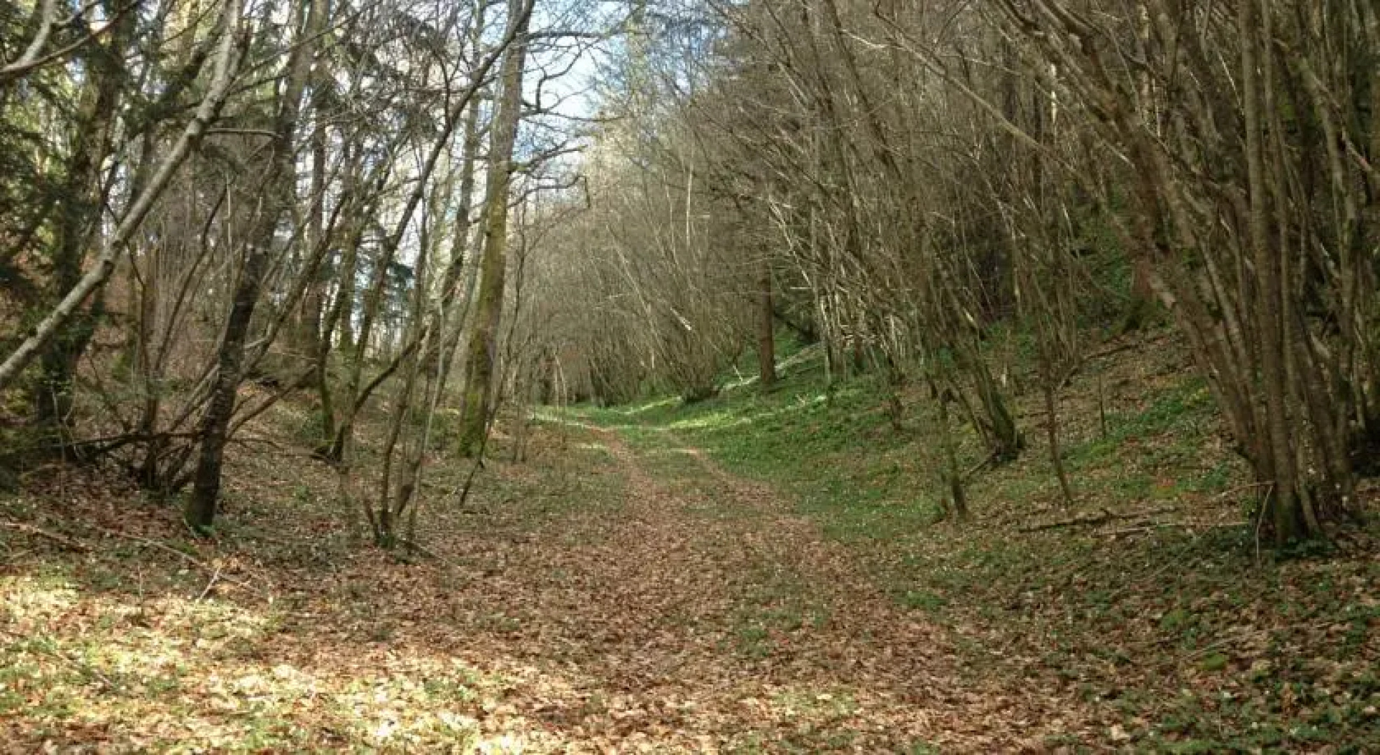 Chateau de Tautal-Bas