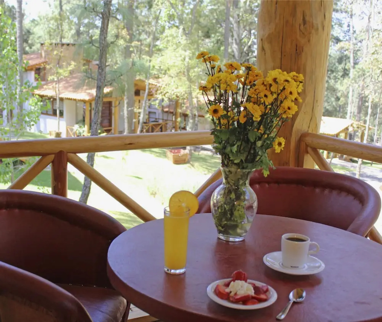 Cabañas La Vid Del Bosque