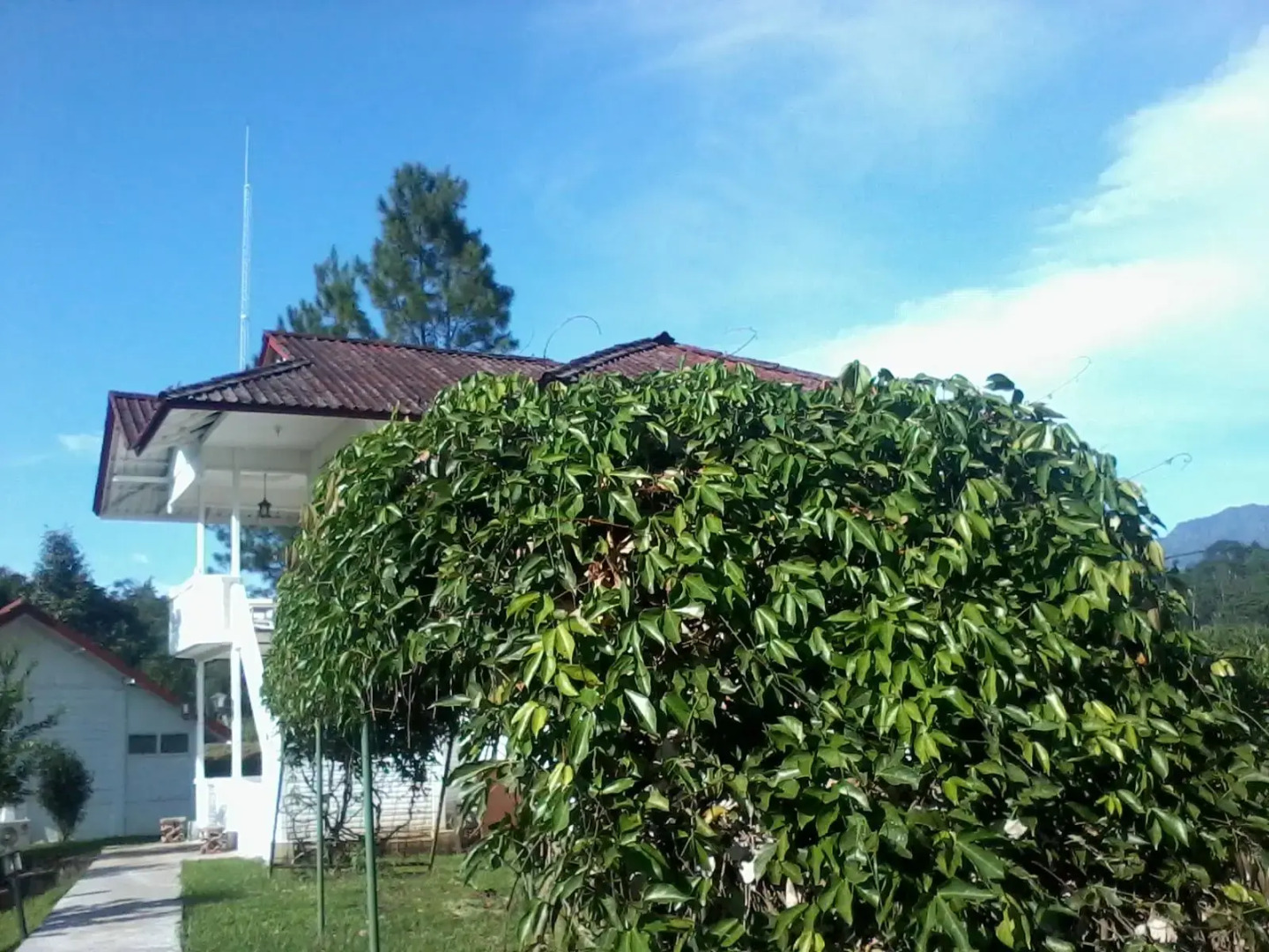 Marbella Villa Resort​