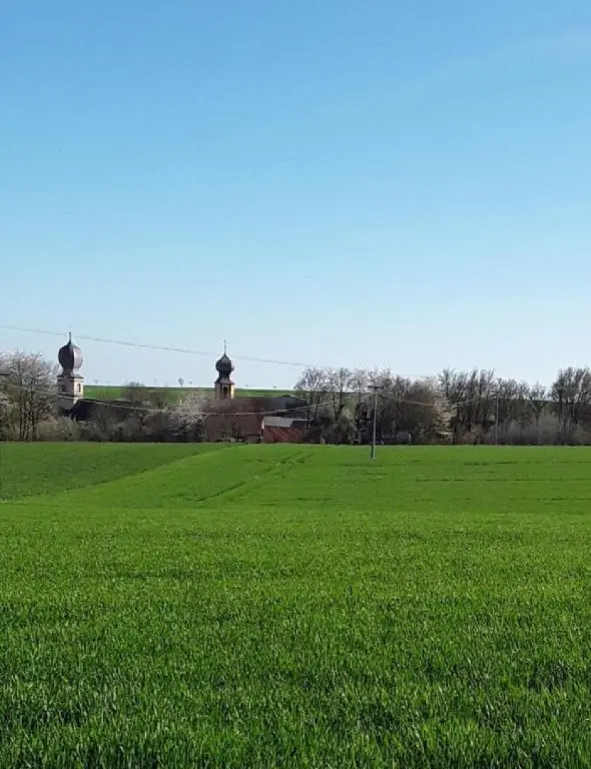 Ferienwohnung - Zimmervermietung Ringelmann