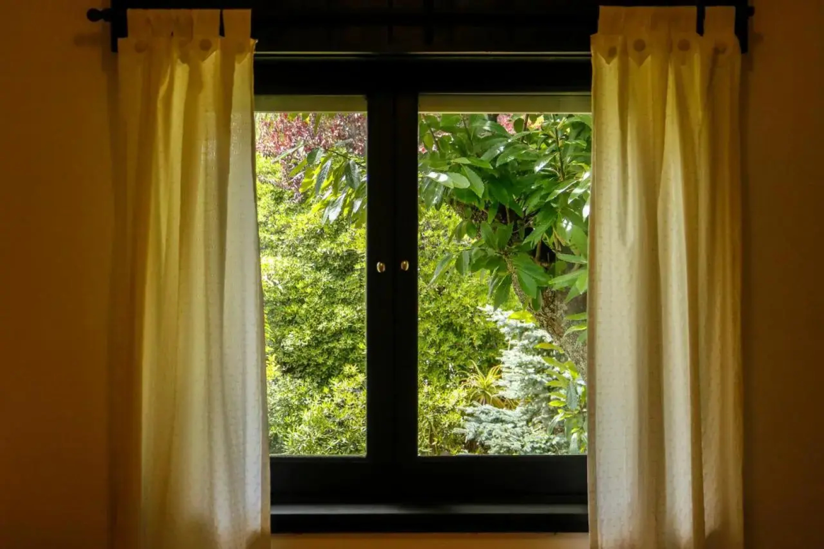 Hosteria Dalmacia
