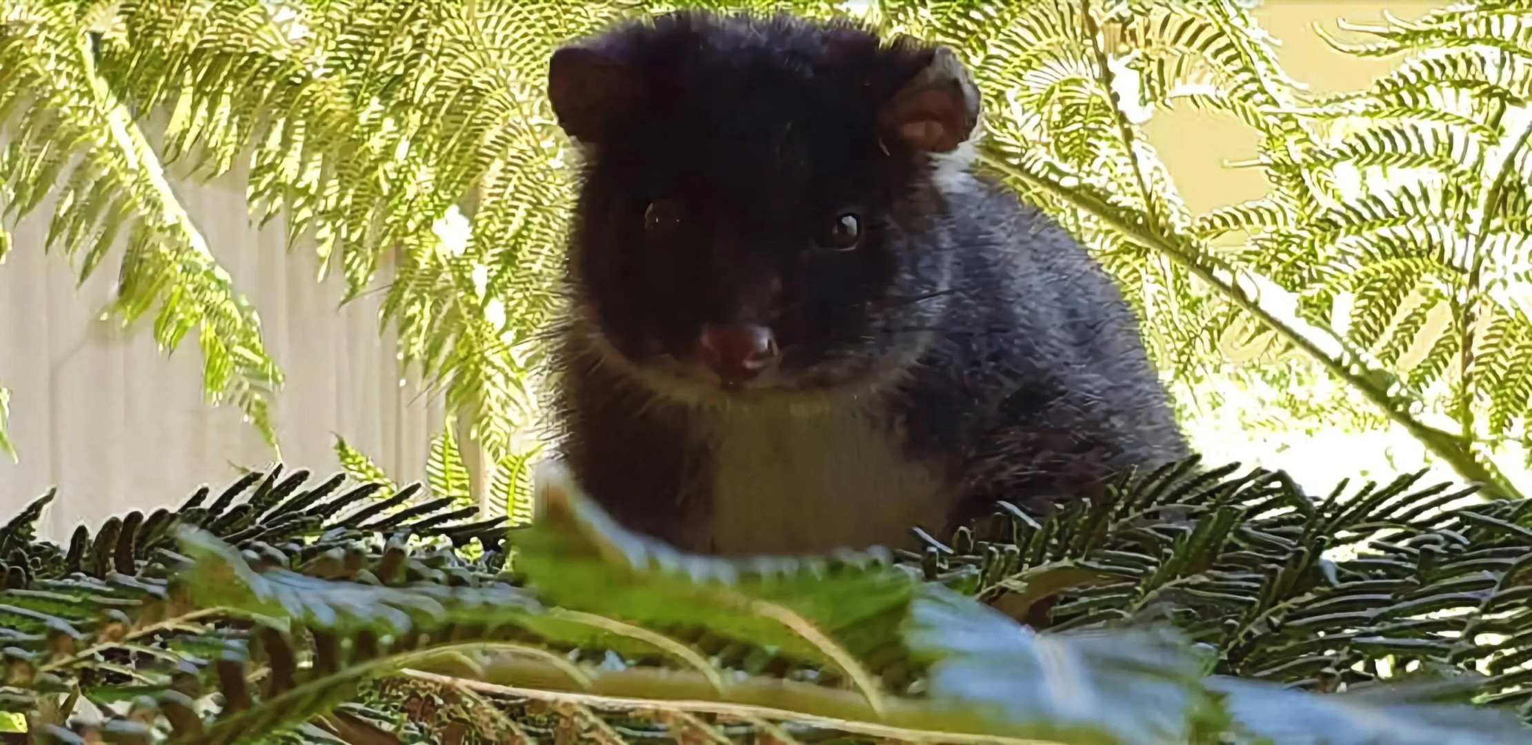 Siesta Park Holiday Resort