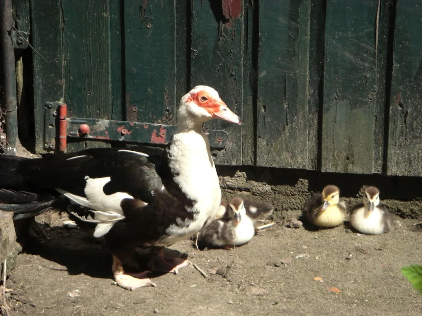 Cozy Holiday Home in Bergen op Zoom with Garden
