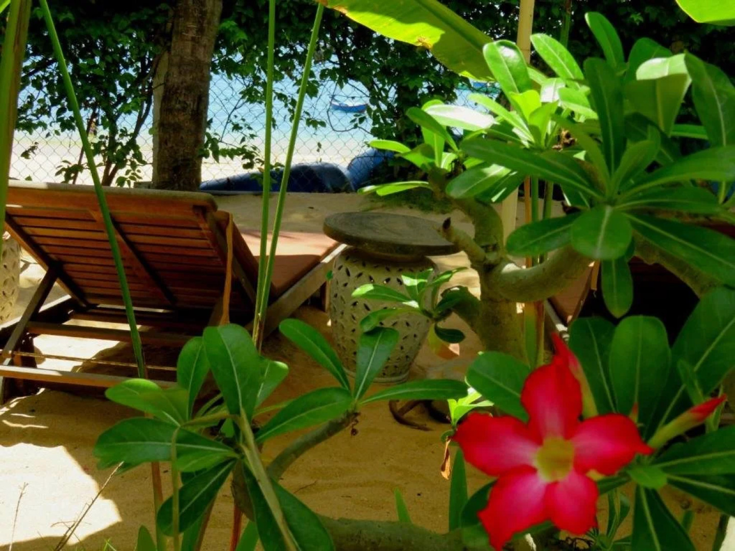 Big Tree Backpackers And Bistro