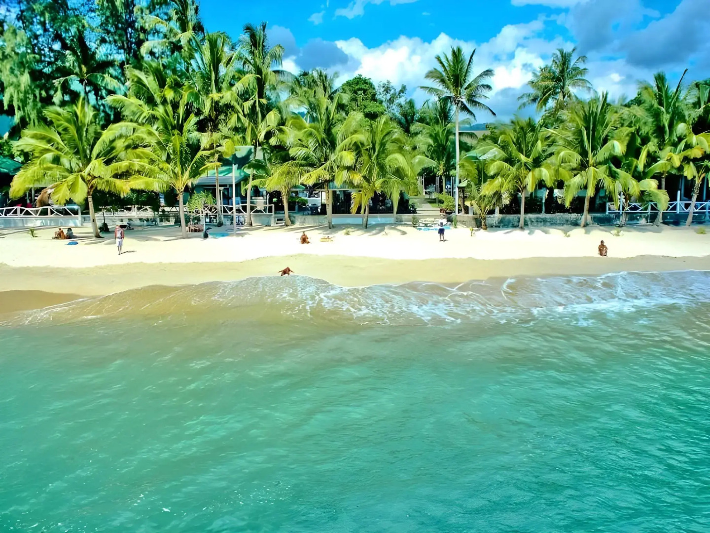 Lamai Inn 99 Bungalows