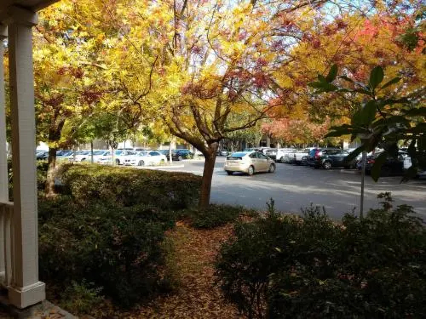 Cozy Studio Next To Ucdavis