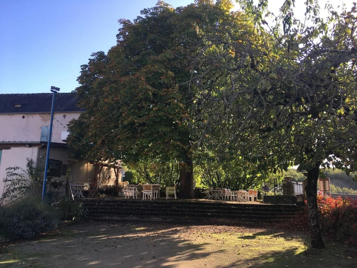 Ô MARRONNIER de NADAILLAC