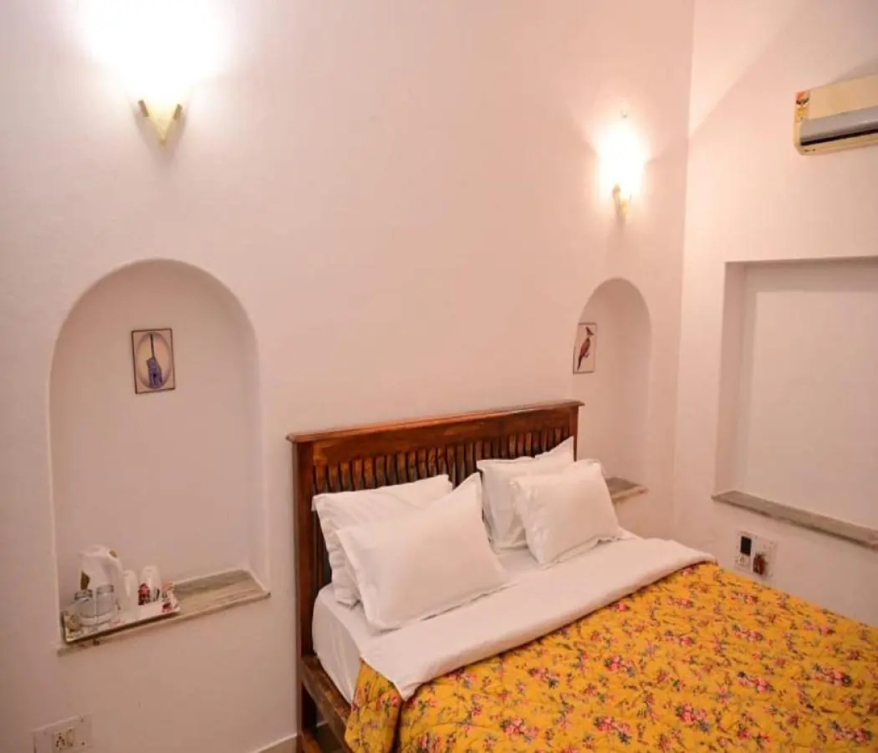 Leopard Lair Ananta Express