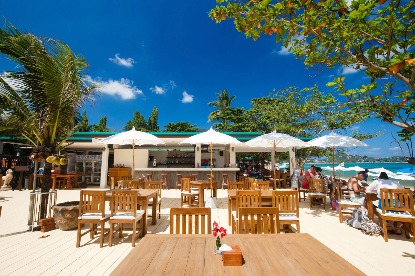 Lamai Coconut Beach Resort