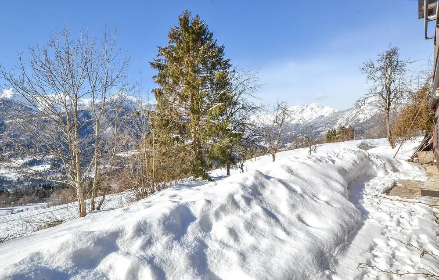 Amazing Apartment in Ovaro With 1 Bedrooms and Wifi