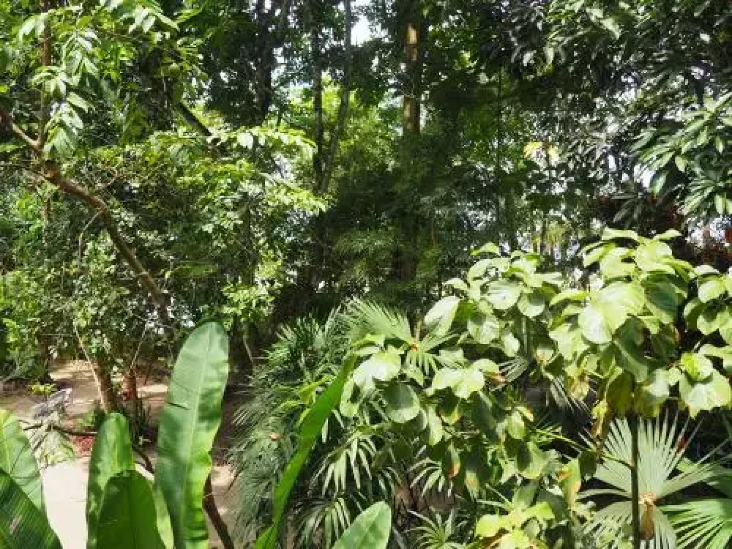 Cabinas Punta Uva