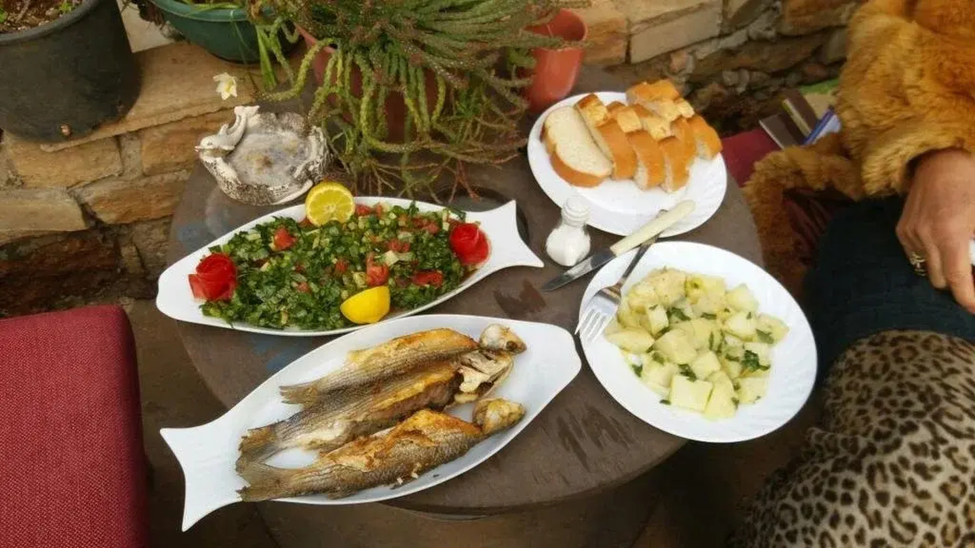 Mystery Garden Guest House