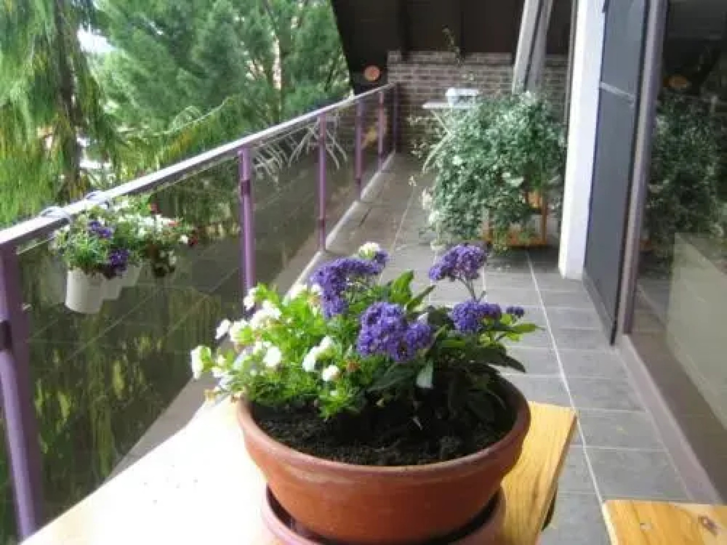 Ferienwohnung Virginija