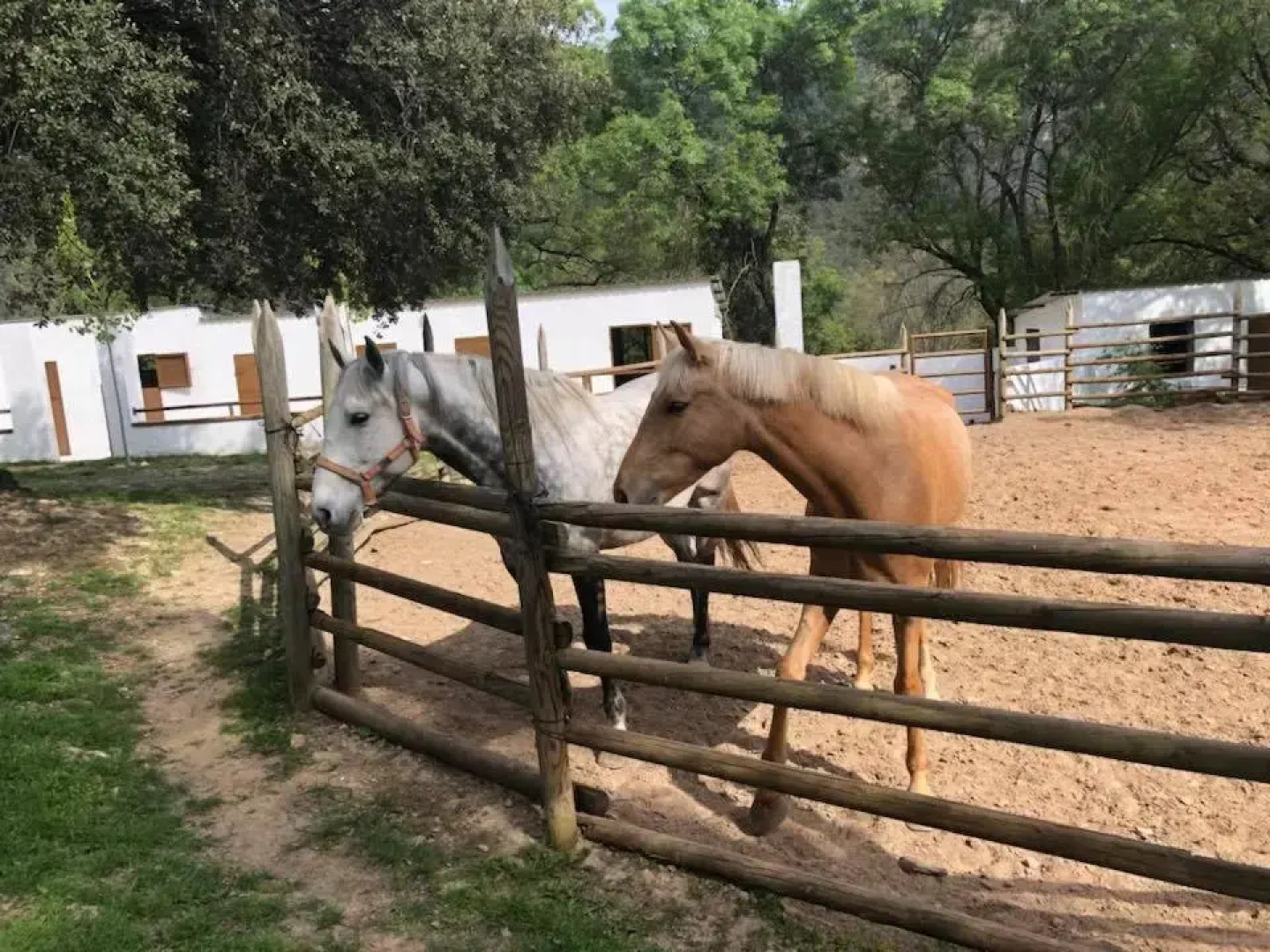 El Carrascal, 2 Llaves, Rural