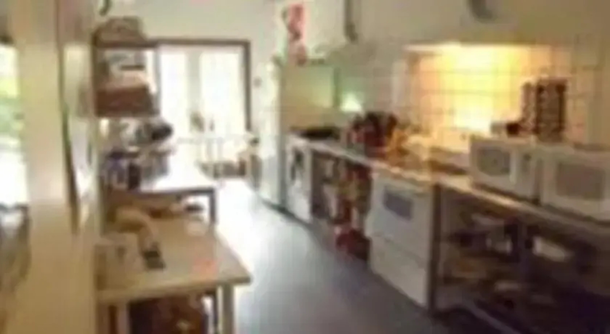 C&N Backpackers - Port Hardy