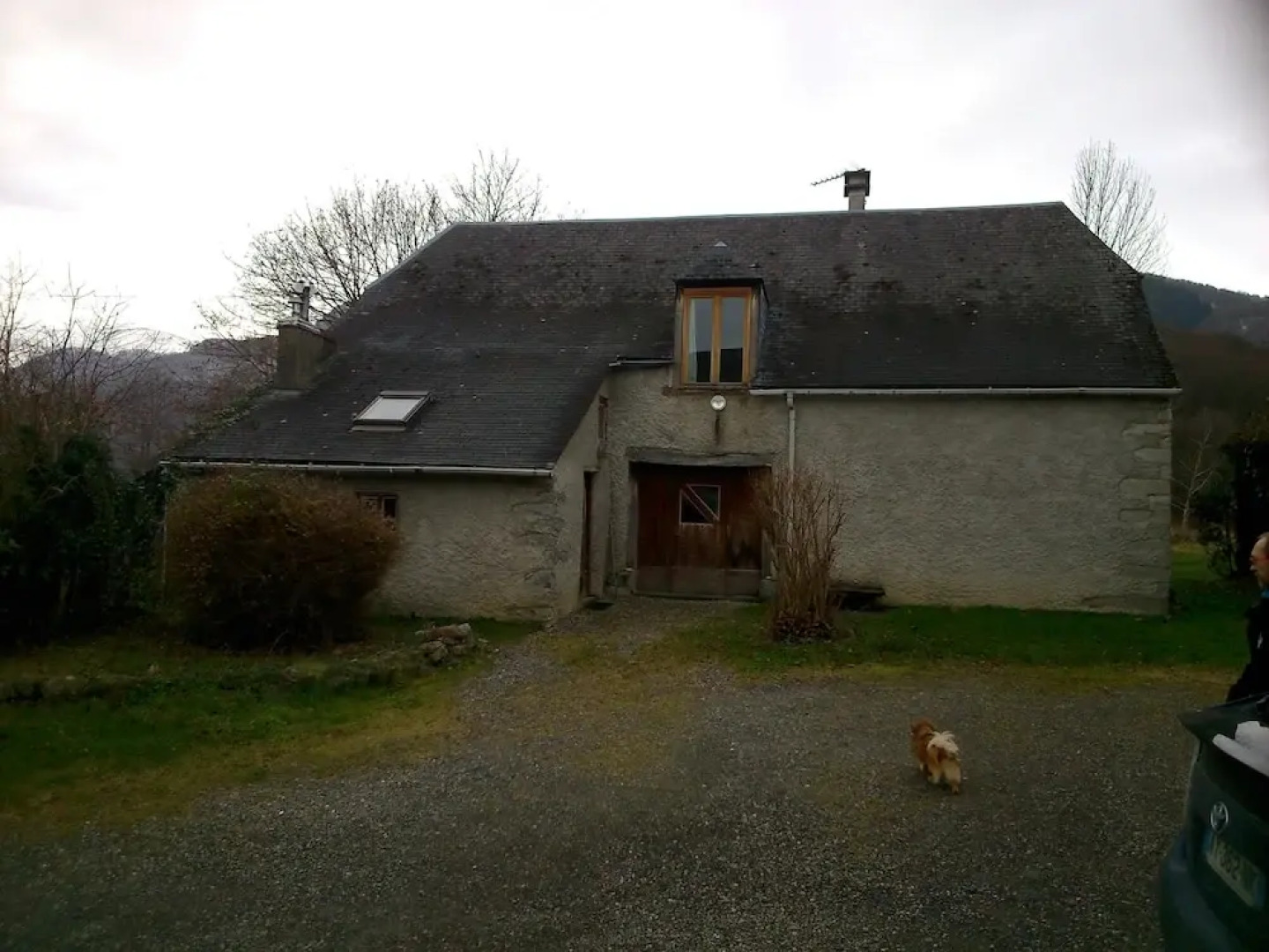 Les Alpagas Des Baronnies