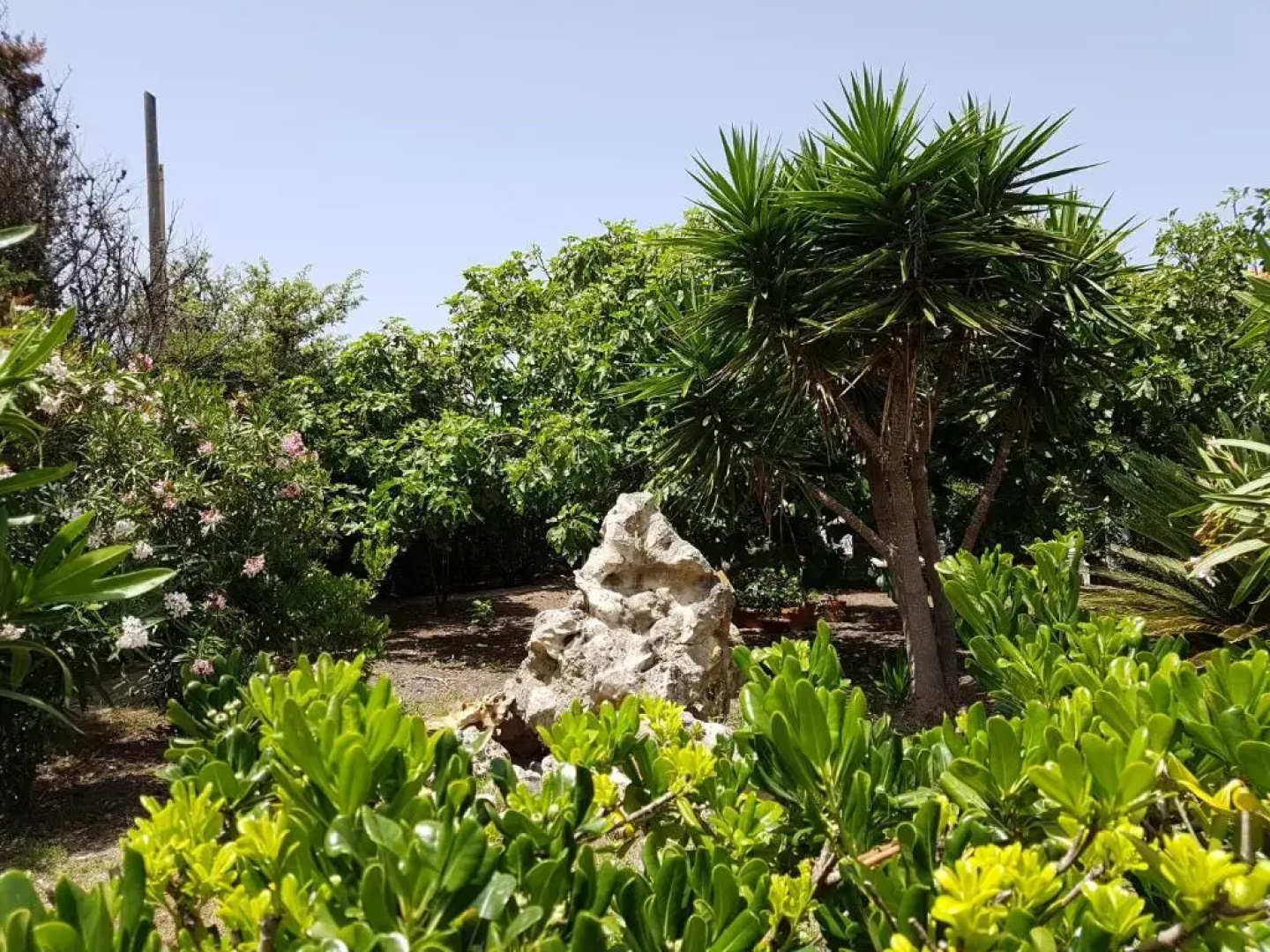 Villa Secchi bifamiliare sul mare